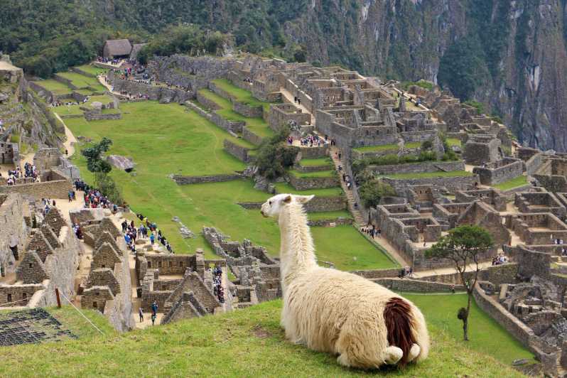 Visiter le Machu Picchu e août au Pérou 
