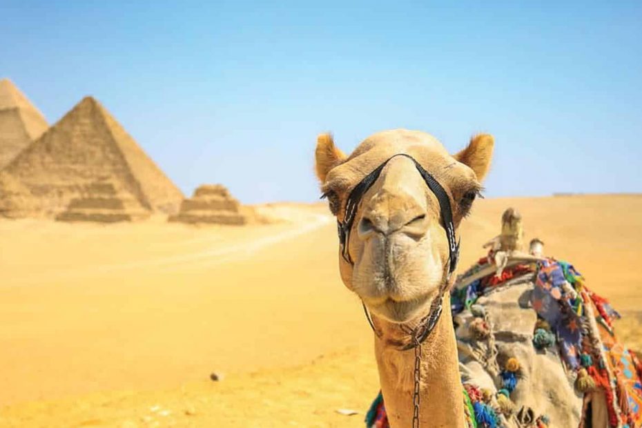 Ce qu'il faut visiter en Egypte